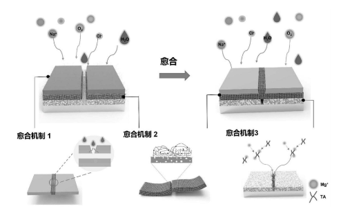 自修復(fù)防水材料的修復(fù)機(jī)制探索